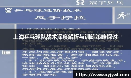 Mksport体育app官网入口