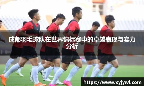 Mksport体育app官网入口