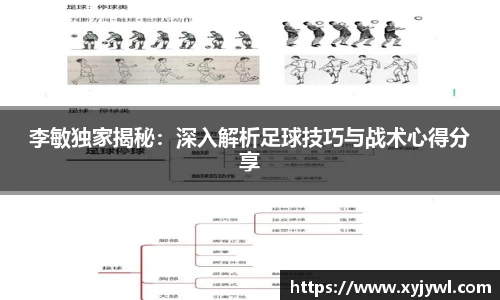 Mksport体育app官网入口