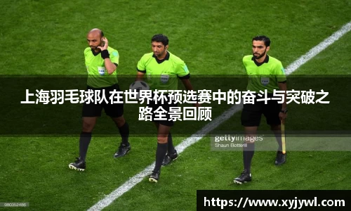 Mksport体育app官网入口